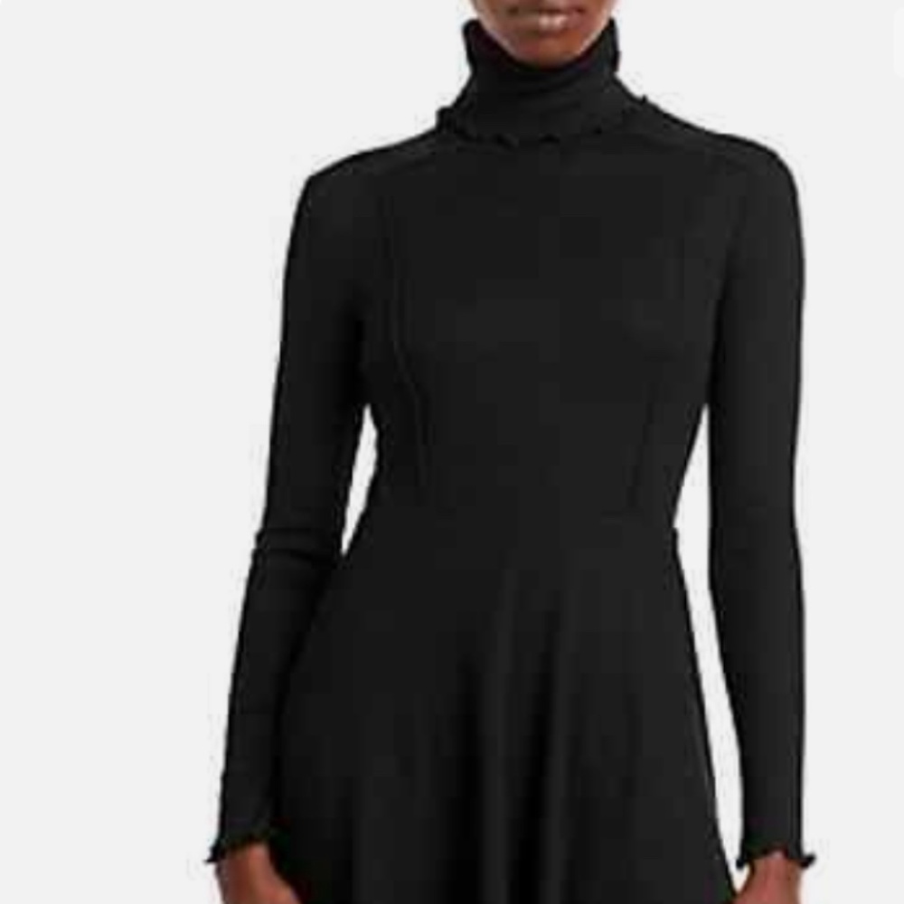 NWT AQUA Turtleneck Knit Dress S